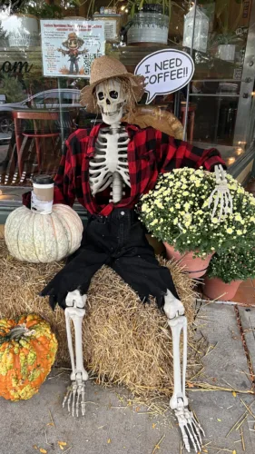 City fall festival boasts full lineup of activities